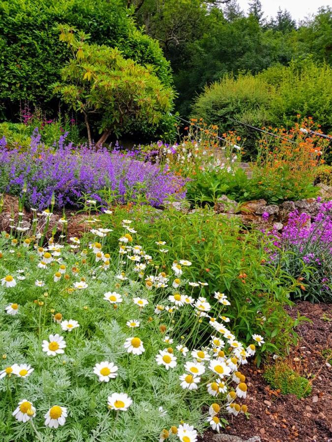 Eastwrey Barton Country House Lustleigh 外观 照片